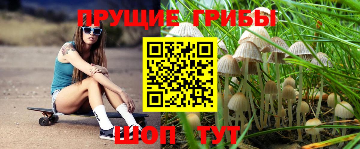 Псилоцибиновые грибы GOLDEN TEACHER  хочу   Сергиев Посад  Вход с VPN 
