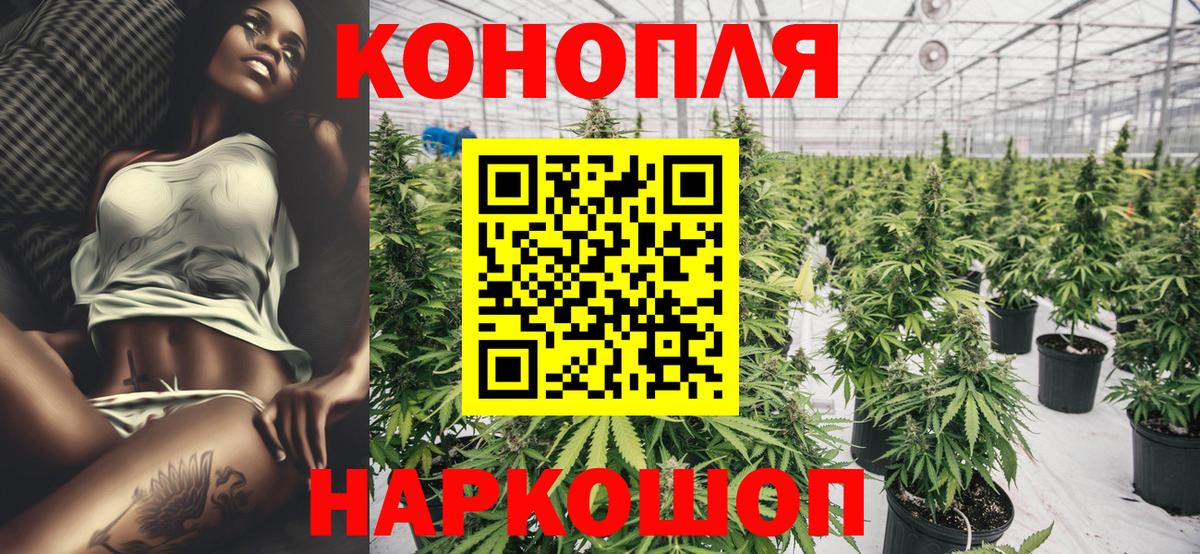 Конопля ГИДРОПОН  Вход с VPN  Каннабис Amnesia  Сергиев Посад 